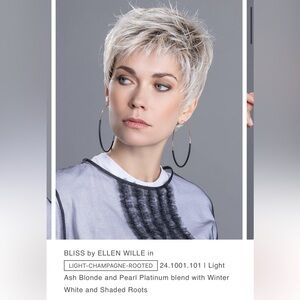 BLISS by Ellen Wille - salt and pepper wig -retail $300